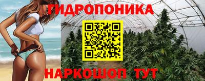 spice Ачхой-Мартан